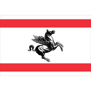 BANDIERA REGIONE TOSCANA CM.30X45